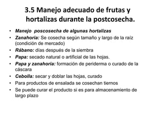 3.5 Manejo adecuado de frutas y
hortalizas durante la postcosecha.
• Manejo poscosecha de algunas hortalizas
• Zanahoria: Se cosecha según tamaño y largo de la raíz
(condición de mercado)
• Rábano: días después de la siembra
• Papa: secado natural o artificial de las hojas.
• Papa y zanahoria: formación de periderma o curado de la
cáscara
• Cebolla: secar y doblar las hojas, curado
• Para productos de ensalada se cosechan tiernos
• Se puede curar el producto si es para almacenamiento de
largo plazo
 