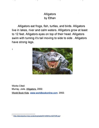 Wild Animals Research Project - Gauvin