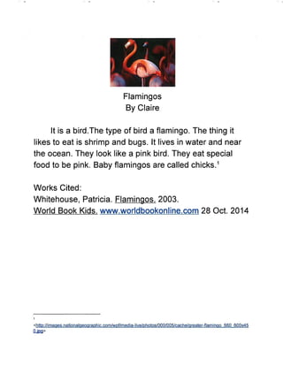 Wild Animals Research Project - Gauvin