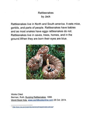 Wild Animals Research Project - Gauvin