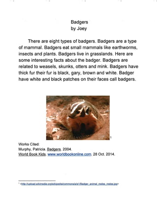 Wild Animals Research Project - Gauvin