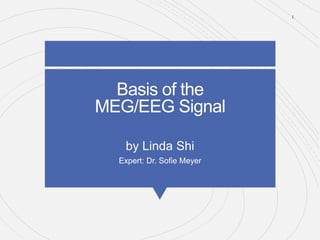 Basis of the
MEG/EEG Signal
by Linda Shi
Expert: Dr. Sofie Meyer
1
 