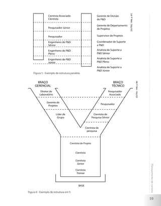 (DUTRA, 1996, p. 87)
                 Cientista Associado                           Gerente de Divisão
                 Cientista                                     de P&D

                                                               Gerente de Departamento
                 Pesquisador Júnior                            de Projetos

                 Pesquisador                                   Supervisor de Projetos

                 Engenheiro de P&D                             Coordenador de Suporte
                 Sênior                                        a P&D

                 Engenheiro de P&D                             Analista de Suporte a
                 Pleno                                         P&D Sênior

                 Engenheiro de P&D                             Analista de Suporte a
                 Júnior                                        P&D Pleno

                                                               Analista de Suporte a
                                                               P&D Júnior
    Figura 5 - Exemplo de estrutura paralela.


        BRAÇO                                                                 BRAÇO




                                                                                                                (DUTRA, 1996, p. 88)
      GERENCIAL                                                              TÉCNICO
           Diretor de                                                   Pesquisador
          Laboratório                                                    Associado


                Gerente de
                                                                  Pesquisador
                 Projetos


                        Líder de                             Cientista de
                         Grupo                             Pesquisa Sênior


                                                   Cientista de
                                                    pesquisa



                                    Cientista de Projeto


                                         Cientista


                                         Cientista
                                          Júnior
                                                                                                                                       Planejamento de carreira




                                         Cientista
                                          Trainee



                                            BASE

Figura 6 - Exemplo de estrutura em Y.

                                                                                                                                       59
 