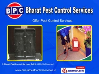 Offer Pest Control Services 