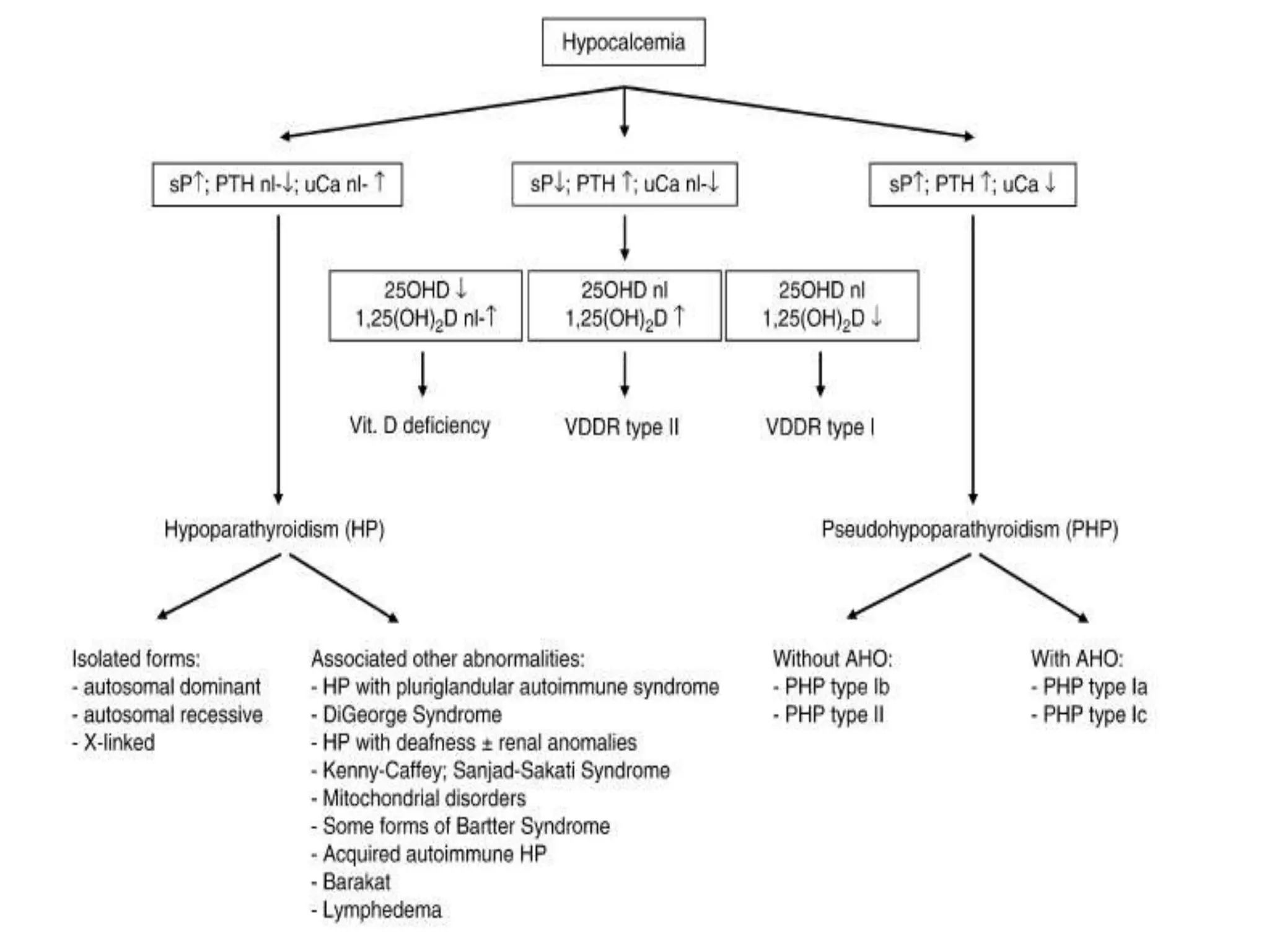 1479713317-hypocalcemia low calcium .ppt
