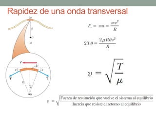 Rapidez de una onda transversal
 
