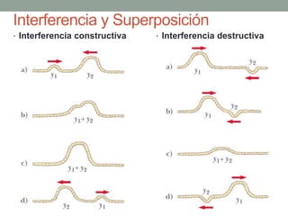 Interferencia y Superposición
• Interferencia constructiva • Interferencia destructiva
 