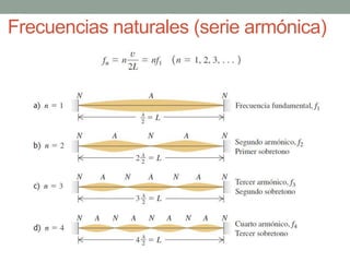 Frecuencias naturales (serie armónica)
 