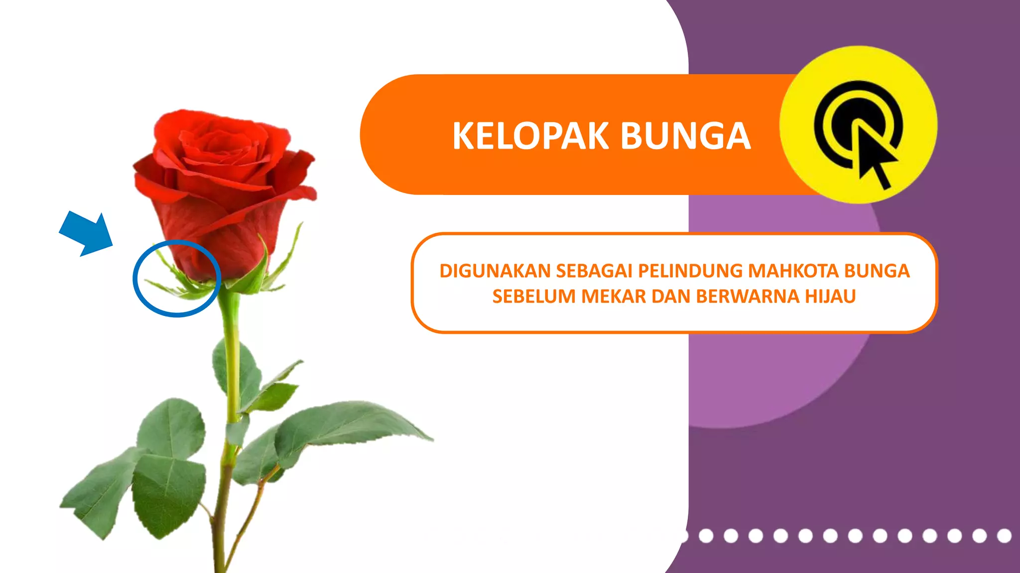 Ciri ciri bunga sempurna dan tidak sempurna | PPSX