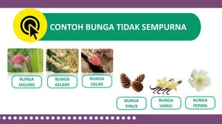 Ciri ciri bunga sempurna dan tidak sempurna | PPSX