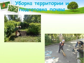 Уборка территории и
подготовка почвы
 