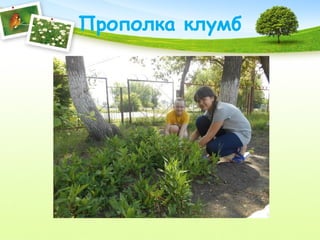 Прополка клумб
 