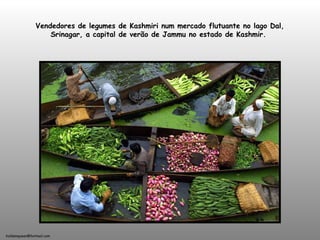 holdemqueen@hotmail.com
Vendedores de legumes de Kashmiri num mercado flutuante no lago Dal,
Srinagar, a capital de verão de Jammu no estado de Kashmir.
 