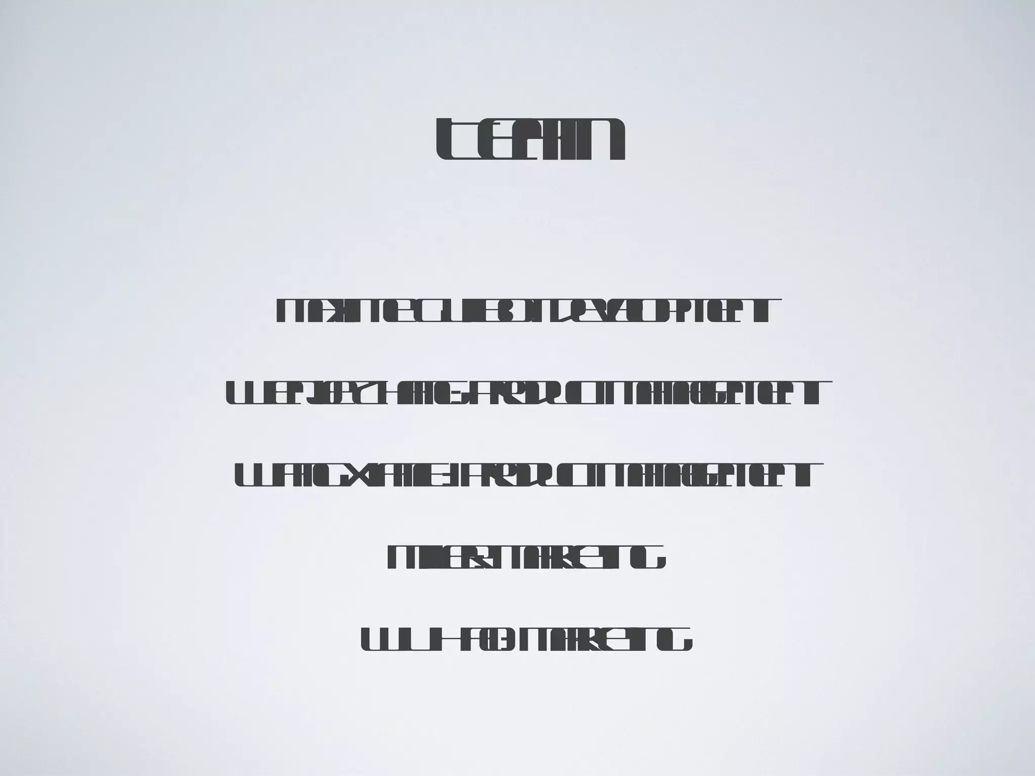 Team Maxime Guilbot: development Wenjie Zhang: product management Wang Xianfu: product management Miller: marketing Wu Hao: marketing 