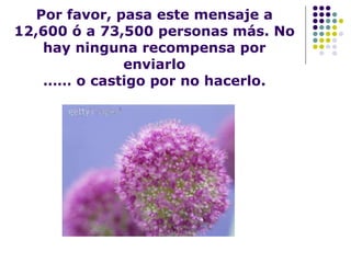Por favor, pasa este mensaje a 12,600 ó a 73,500 personas más. No hay ninguna recompensa por enviarlo …… o castigo por no hacerlo. 