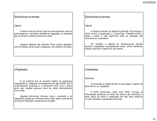 31/03/2014
11
Estruturas externas
Cápsula
A maioria das bactérias, tanto as gram-positivas como as
gram-negativas, secretam substâncias pegajosas ou pastosas
que se tornam a camada externa da célula.
Algumas cápsulas são bastante finas, outras espessas,
com até mesmo várias vezes a espessura do restante da célula.
Estruturas externas
Cápsula
A função principal da cápsula é proteção. Ela protege a
célula contra a evaporação e a fagocitose. Também auxilia a
célula a aderir a uma superfície onde as condições são
favoráveis ao crescimento.
Por exemplo, a cápsula de Streptococcus mutans,
bactéria responsável principalmente pelas cáries dentárias,
prende a bactéria à superfície dos dentes.
Citoplasma
É um material que se encontra dentro da membrana
citoplasmática, composto principalmente por água (90%). Ele é
uniformemente granuloso e é altamente ativo, pois a maior
parte das reações químicas vitais da célula (metabolismo)
ocorre nele.
Algumas estruturas internas, como o nucleiode e os
ribossomos, podem ser distintas dentro dele, assim como várias
estruturas chamadas corpúsculos de inclusão.
Citoplasma
Nucleoide
O nucleiode ou região nuclear é uma massa irregular de
DNA dentro do citoplasma.
O DNA bacteriano, como todo DNA, carrega as
informações genéticas da célula. Na maioria das bactérias, a
maior parte do DNA é organizada em uma única molécula
circular chamada cromossomo bacteriano.
 