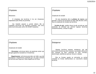 31/03/2014
12
Citoplasma
Ribossomos
O citoplasma das bactérias é rico em ribossomos,
responsáveis pela síntese de proteínas.
Seu tamanho pequeno e grande número dão ao
citoplasma bacteriano sua aparência granulosa. Uma única
célula bacteriana pode conter até 20.000 ribossomos.
Citoplasma
Corpúsculos de inclusão
Os mais abundantes são os grânulos de reserva, que
guardam a reserva de nutrientes da célula. Mas não são o único
tipo de corpúsculos de inclusão nas bactérias.
- Vacúolos de gás: regiões cheias de gás cercada por uma
membrana de proteína que permite algumas bactérias
fotossintetizantes, a flutuar na água.
Citoplasma
Corpúsculos de inclusão
- Clorossomos: estruturas dentro da membrana celular que
abrigam pigmentos necessários à fotossíntese.
- Magnetossomos: estruturas parecidas com imãs e que são
necessárias à magnetotaxia (realizado por um grupo incomum
de bactérias que viajam por linhas magnéticas de força).
Endosporos
Algumas bactérias possuem endosporos, que são
estruturas latentes (que não crescem) e que podem sobreviver
até centenas de anos, resistindo ao calor extremo,
desidratação, substâncias químicas tóxicas e radiação.
Eles se formam quando os nutrientes ou outras
condições se tornam desfavoráveis ao crescimento dessas
bactérias.
 