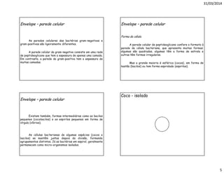 31/03/2014
5
Envelope – parede celular
As paredes celulares das bactérias gram-negativas e
gram-positivas são ligeiramente diferentes.
A parede celular da gram-negativa consiste em uma rede
de peptideoglicano que tem a espessura de apenas uma camada.
Em contraste, a parede da gram-positiva tem a espessura de
muitas camadas.
Envelope – parede celular
Forma da célula
A parede celular de peptideoglicano confere o formato à
parede da célula bacteriana, que apresenta muitas formas:
algumas são quadradas, algumas têm a forma de estrela e
outras têm formas irregulares.
Mas a grande maioria é esférica (cocos), em forma de
bastão (bacilos) ou tem forma espiralada (espirilos).
Envelope – parede celular
Existem também, formas intermediárias como os bacilos
pequenos (cocobacilos) e os espirilos pequenos em forma de
vírgula (víbrios).
As células bacterianas de algumas espécies (cocos e
bacilos) se mantêm juntas depois da divisão, formando
agrupamentos distintos. Já as bactérias em espiral, geralmente
permanecem como micro-organismos isolados.
Coco - isolado
 