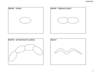 31/03/2014
7
Bastão - isolado Bastão – diplobacilo (par)
Bastão – estreptobacilo (cadeia) Espiral
 
