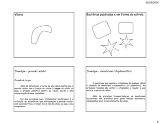 31/03/2014
8
Vibrio Bactérias quadradas e em forma de estrela
Envelope – parede celular
Pressão de turgor
Além de determinar a forma de uma célula bacteriana, a
parede celular tem a função de conter o turgor da célula, ou
seja, a pressão osmótica dentro da célula, devido à alta
concentração de seus conteúdos.
Um dos princípios para tratamentos bacterianos é a
utilização de substâncias que enfraqueçam a parede celular.
Com a parede fraca, o turgor leva à lise da célula, ou seja, a seu
rompimento.
Envelope – membrana citoplasmática
A membrana que engloba o citoplasma de qualquer célula
é chamada de membrana citoplasmática (ou plasmática). As
principais funções são conter o citoplasma e regular o que
entra e o que sai da célula.
Além de proteínas transportadoras, as membranas
bacterianas têm proteínas para gerar energia metabólica,
indispensável para o funcionamento da célula.
 