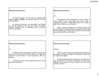 31/03/2014
9
Estruturas externas
As bactérias podem ter dois tipos de apêndices: pili
(singular, pilus) e flagelos. Uma bactéria pode ter um deles,
ambos ou nenhum.
Um grupo de bactérias, os espiroquetas, tem flagelos
que não são apêndices. Elas têm um flagelo modificado,
chamado filamento axial ou endoflagelo, que se encontra
dentro do periplasma.
Estruturas externas
Pili
São apêndices retos semelhantes a fios de cabelo. A
maioria deles é curto, mas alguns têm várias vezes o
comprimento da célula. A função principal dos pili é se ligar a
superfícies, bactérias ou outras células.
Muitas bactérias causadoras de doenças possuem pili
que se prendem às células hospedeiras específicas. Se esses
pili se perderem (por mutação, por exemplo), as bactérias não
podem mais estabelecer uma infecção.
Estruturas externas
Pili
A Neisseria gonorrhoeae (agente causador da gonorreia)
produz vários tipos de pili. Cada tipo adere a uma superfície
específica do corpo humano – a área urogenital, o olho ou a
garganta.
Praticamente, todas as gram-negativas têm pili e muitas
gram-positivas não têm.
Estruturas externas
Flagelos
São estruturas finas que se estendem além da superfície
do envelope. A função dos flagelos é locomoção, diferente dos
pili, que são para ligação.
Os flagelos são helicoidais (em forma de saca-rolhas), ou
seja, não são retos. Eles giram e impulsionam a célula no seu
ambiente aquoso quase da mesma maneira que uma hélice
impulsiona um navio.
 