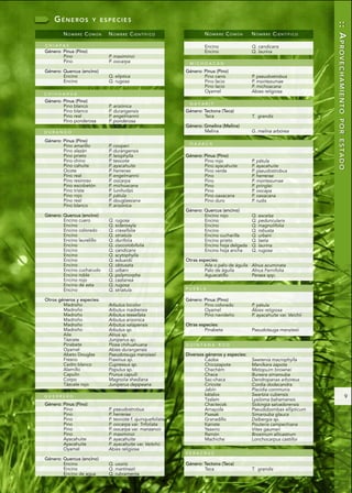 GÉNEROS            Y ESPECIES




                                                                                                                       :: APROVECHAMIENTO
        NOMBRE COMÚN        NOMBRE CIENTÍFICO                      NOMBRE COMÚN           NOMBRE CIENTÍFICO

CHIAPAS                                                            Encino                 Q. candicans
Género: Pinus (Pino)                                               Encino                 Q. laurina
        Pino                P. maximinoi
        Pino                P. oocarpa                      MICHOACÁN

Género: Quercus (encino)                                   Género: Pinus (Pino)
        Encino              Q. elíptica                            Pino canis             P. pseudostrobus
        Encino              Q. rugosa                              Pino lacio             P. montezumae
                                                                   Pino lacio             P. michoacana
                                                                   Oyamel                 Abies religiosa
CHIHUAHUA
Género: Pinus (Pino)
                                                            NAYARIT
        Pino blanco         P. arizónica
        Pino blanco         P. durangensis                 Género: Tectona (Teca)
        Pino real           P. engelmannii                         Teca                   T. grandis
        Pino ponderosa      P. ponderosa




                                                                                                                        POR ESTADO
                                                           Género: Gmelina (Melina)
DURANGO                                                            Melina                 G. melina arbórea

Género: Pinus (Pino)
                                                            OAXACA
        Pino amarillo       P. cooperi
        Pino alazán         P. durangensis
        Pino prieto         P. leiophylla                  Género: Pinus (Pino)
        Pino chino          P. teocote                             Pino rojo              P. pátula
        Pino cahuíte        P. ayacahuite                          Pino ayacahuite        P. ayacahuite
        Ocote               P. herrerae                            Pino verde             P. pseudostrobus
        Pino real           P. engelmannii                         Pino                   P. herrerae
        Pino resinoso       P. oocarpa                             Pino                   P. montezumae
        Pino escobetón      P. michoacana                          Pino                   P. pringlei
        Pino triste         P. lumholtzii                          Pino                   P. oocapa
        Pino rojo           P. pátula                              Pino oaxacana          P. oaxacana
        Pino real           P. douglassiana                        Pino duro              P. rudis
        Pino blanco         P. arizónica
                                                           Género: Quercus (encino)
Género: Quercus (encino)                                           Encino rojo            Q. excelsa
        Encino cuero        Q. rugosa                              Encino                 Q. peduncularis
        Encino              Q. sideroxyla                          Encino                 Q. magnolifolia
        Encino colorado     Q. crassifolia                         Encino                 Q. robusta
        Encino              Q. striatula                           Encino cucharilla      Q. urbani
        Encino laurelillo   Q. durifolia                           Encino prieto          Q. laeta
        Encino              Q. coccolobifolia                      Encino hoja delgada    Q. laurina
        Encino              Q. candicans                           Encino hoja ancha      Q. rugosa
        Encino              Q. scytophylla
        Encino              Q. eduardii                    Otras especies:
        Encino              Q. obtusata                            Aile o palo de águila Alnus acuminata
        Encino cucharudo    Q. urbani                              Palo de águila        Alnus Fernifolia
        Encino roble        Q. polymorpha                          Aguacatillo           Persea spp.
        Encino rojo         Q. castanea
        Encino de asta      Q. rugosa
        Encino              Q. striatula                   PUEBLA

Otros géneros y especies:                                  Género: Pinus (Pino)
        Madroño             Arbutus bicolor                        Pino colorado          P. pátula
        Madroño             Arbutus madrensis                      Oyamel                 Ábies religiosa
        Madroño             Arbutus tessellata                     Pino navideño          P. ayacahuite var. Veichii
        Madroño             Arbutus arizonica
        Madroño             Arbutus xalapensis             Otras especies:
        Madroño             Arbutus sp.                            Pinabete               Pseudotsuga menziesii
        Aile                Alnus sp.
        Tázcate             Juniperus sp.
        Pinabete            Picea chihuahuana              QUINTANA ROO
        Oyamel              Abies durangensis
        Abeto Douglas       Pseudotsuga menziesii          Diversos géneros y especies:
        Fresno              Fraxinus sp.                            Caoba                 Swetenia macrophylla
        Cedro blanco        Cupressus sp.                           Chicozapote           Manilkara zapota
        Alamillo            Populus sp.                             Chechém               Metopuim brownei
        Capulín             Prunus capulli                          Chaca                 Bursera simarouba
        Corpo               Magnolia shediana                       Sac-chaca             Dendropanax arboreus
        Tázcate rojo        Juniperus deppeana                      Ciricote              Cordia dodecandra
                                                                    Jabín                 Piscidia communis
                                                                    kátalox               Swartzia cubensis
GUERRERO
                                                                    Tzalam                Lysiloma bahamensis
                                                                                                                                  9
Género: Pinus (Pino)                                                Chactecok             Sickingia salvadorensis
        Pino                P. pseudostrobus                        Amapola               Pseudobombax ellipticum
        Pino                P. herrerae                             Paasak                Simarouba glauca
        Pino                P. teocote f. quinquefoliata            Granadillo            Dalbergia sp.
        Pino                P. oocarpa var. Trifoliata              Kaniste               Pouteria campechiana
        Pino                P. oocarpa var. manzanoii               Yaaxnic               Vitex gaumeri
        Pino                P. maximinoi                            Ramón                 Brosimum allicastrum
        Ayacahuite          P. ayacahuite                           Machiche              Lonchocarpus castilloi
        Ayacahuite          P. ayacahuite var. Veitchii
        Oyamel              Abies religiosa
                                                           VERACRUZ
Género: Quercus (encino)
        Encino              Q. uxoris                      Género: Tectona (Teca)
        Encino              Q. martinezii                          Teca                   T. grandis
        Encino de agua      Q. rubramenta
 