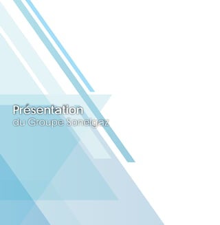 Rapport D Activite Et Compte Sociaux Consolides Sonelgaz 2015