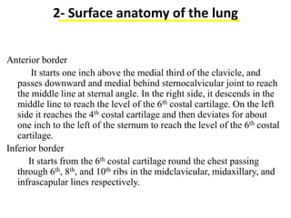 2- Surface anatomy of the lung
Anterior border
It starts one inch above the medial third of the clavicle, and
passes downward and medial behind sternocalvicular joint to reach
the middle line at sternal angle. In the right side, it descends in the
middle line to reach the level of the 6th costal cartilage. On the left
side it reaches the 4th costal cartilage and then deviates for about
one inch to the left of the sternum to reach the level of the 6th costal
cartilage.
Inferior border
It starts from the 6th costal cartilage round the chest passing
through 6th, 8th, and 10th ribs in the midclavicular, midaxillary, and
infrascapular lines respectively.
 
