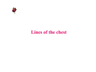 Lines of the chest
 