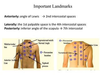 Anteriorly: angle of Lewis → 2nd intercostal spaces
Laterally: the 1st palpable space is the 4th intercostal spaces
Posteriorly: inferior angle of the scapula → 7th intercostal
spaces
Important Landmarks
 