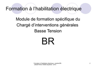 Formation à l'habilitation électrique - module BR -
collectif Homo Habilis Aquitaine - 2013
2
Formation à l’habilitation électrique
Module de formation spécifique du
Chargé d’interventions générales
Basse Tension
BR
 