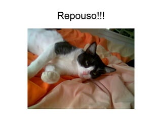 Repouso!!!
 