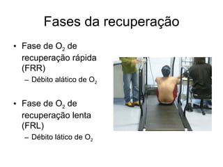 Fases da recuperação
• Fase de O2 de
recuperação rápida
(FRR)
– Débito alático de O2
• Fase de O2 de
recuperação lenta
(FRL)
– Débito lático de O2
 