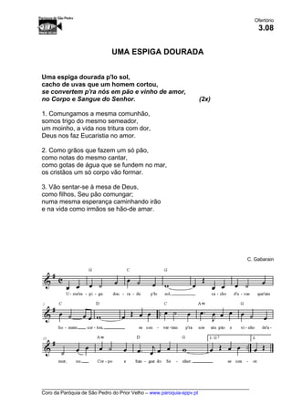 Ofertório
____________________________________________________________________________
Coro da Paróquia de São Pedro do Prior Velho – www.paroquia-sppv.pt
3.08
UMA ESPIGA DOURADA
Uma espiga dourada p'lo sol,
cacho de uvas que um homem cortou,
se convertem p'ra nós em pão e vinho de amor,
no Corpo e Sangue do Senhor. (2x)
1. Comungamos a mesma comunhão,
somos trigo do mesmo semeador,
um moinho, a vida nos tritura com dor,
Deus nos faz Eucaristia no amor.
2. Como grãos que fazem um só pão,
como notas do mesmo cantar,
como gotas de água que se fundem no mar,
os cristãos um só corpo vão formar.
3. Vão sentar-se à mesa de Deus,
como filhos, Seu pão comungar;
numa mesma esperança caminhando irão
e na vida como irmãos se hão-de amar.
C. Gabarain
 