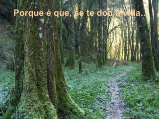 Porque é que, se te dou a vida…
 