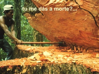 tu me dás a morte?...
 