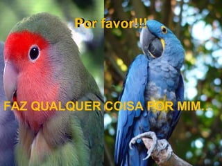 Por favor !!!Por favor!!!
FAZ QUALQUER COISA POR MIM…
 