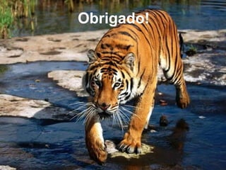 Obrigado!
 