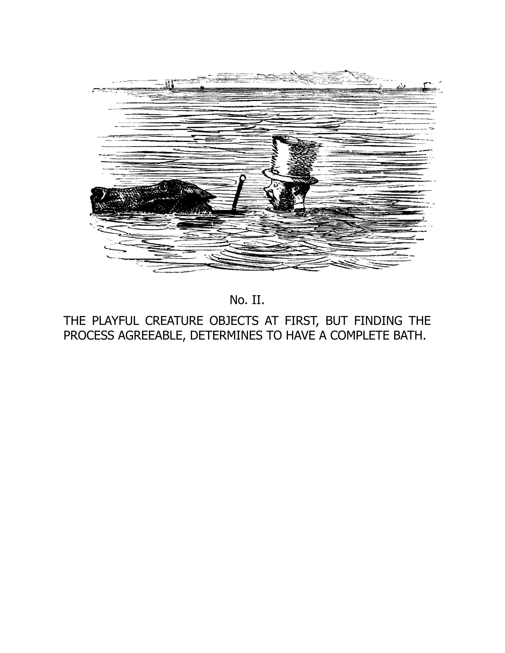 No. II.
THE PLAYFUL CREATURE OBJECTS AT FIRST, BUT FINDING THE
PROCESS AGREEABLE, DETERMINES TO HAVE A COMPLETE BATH.
 