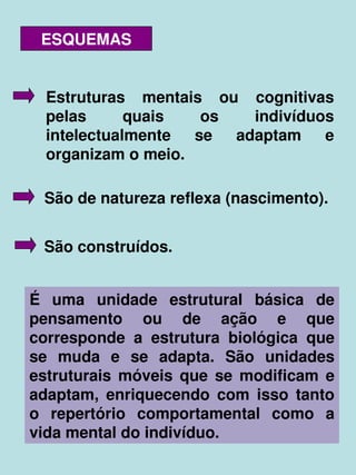   
ESQUEMAS
Estruturas  mentais  ou  cognitivas 
pelas  quais  os  indivíduos 
intelectualmente  se  adaptam  e 
organizam o meio.
São de natureza reflexa (nascimento).
São construídos.
É  uma  unidade  estrutural  básica  de 
pensamento  ou  de  ação  e  que 
corresponde  a  estrutura  biológica  que 
se  muda  e  se  adapta.  São  unidades 
estruturais  móveis  que  se  modificam  e 
adaptam,  enriquecendo  com  isso  tanto 
o  repertório  comportamental  como  a 
vida mental do indivíduo.
 