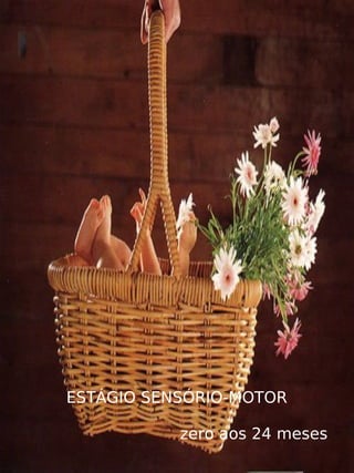    
ESTÁGIO SENSÓRIO-MOTOR
zero aos 24 meses
 