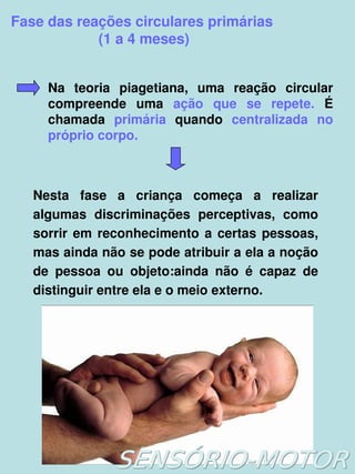    
Fase das reações circulares primárias
 (1 a 4 meses)
Na  teoria  piagetiana,  uma  reação  circular 
compreende  uma  ação  que  se  repete.  É 
chamada  primária  quando  centralizada  no 
próprio corpo.
Nesta  fase  a  criança  começa  a  realizar 
algumas  discriminações  perceptivas,  como 
sorrir em reconhecimento a certas pessoas, 
mas ainda não se pode atribuir a ela a noção 
de  pessoa  ou  objeto:ainda  não  é  capaz  de 
distinguir entre ela e o meio externo.
 