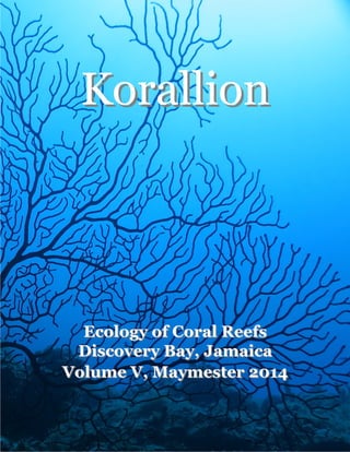 KorallionKorallion
Ecology of Coral ReefsEcology of Coral Reefs
Discovery Bay, JamaicaDiscovery Bay, Jamaica
Volume V, Maymester 2014Volume V, Maymester 2014
 