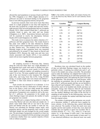 allowed the snail population to increase (Gayle and Wood-
ley 1998, Chiappone et al. 2003). Higher densities of C.
gibbosum can lead to increased feeding on the gorgonian
hosts in turn affecting gorgonian density and growth.
In previous research, there were never more than three
snails on a single gorgonian at one time with majority of
the hosts only occupied by a single snail and only twenty-
eight percent of the surveyed gorgonians had two occupants
(Snyder 2013). Other research found that C. gibbosum are
normally found in pairs, one male and one female
(Chiappone et al. 2003). Associations between snail pairs
will be examined to resolve the discrepancy between
Snyder (2013) and Chiappone et al. (2003).
This study serves to measure the relative densities of C.
gibbosum and their gorgonian hosts. The results found in
this study were added to the data obtained by Snyder
(2013) to gain a more comprehensive picture of the Discov-
ery Bay, Jamaica area. The residence time of individual
flamingo tongue on their gorgonian hosts was measured
and predicted to be around 3.3 days based on Harvell and
Suchanek (1987). Because the study area and time were
closely associated with Snyder (2013), it was predicted
snails will not move together between gorgonians.
METHODS
All sampling occurred in Discovery Bay, Jamaica
along the coral reef where there was a high abundance of
the gorgonian host corals with snails or feeding scars pre-
sent. Because C. gibbosum occur mostly in areas where
water depth is relatively shallow, all sampling occurred in
water 8 m or less. The areas sampled were on the seaward
side of the west forereef at dive locations M1, Dancing
Lady (DL), and Long Term Site (LTS). Using SCUBA
diving, 13 circular sample sites were chosen and labeled 1–
13 (Table 1). Sites were chosen at random at a range of
depths.
Each circular site measured 8 m in diameter. A 4 m
piece of string was tied to a dead piece of coral, with ten-
sion on the string a circle was made around the marked
center point. For each circular sampling site, the number
and species of gorgonian were counted as well as the num-
ber of C. gibbosum. On gorgonians in the sample area
where flamingo tongue were present, the number of snails
per gorgonian was counted.
The depth and a compass bearing relative to the Dis-
covery Bay Marine Lab were also taken per sample site. A
plastic water bottle filled with air was tied to the center
point and labeled with the site number to mark the site.
Density was calculated for flamingo tongue snails, each
gorgonian species, and the gorgonian class overall at each
individual sample site and averaged for the overall sample
area. The percentage of gorgonians occupied by at least one
C. gibbosum was compared with the percentage unoccupied
to determine whether there was a greater majority of hosts
with or without occupants.
Residence time was calculated based on the number
of days an individual flamingo tongue was located on a
particular colony. A marking was etched onto each C. gib-
bosum in the sample area using a microfile. The procedure
used to make the markings was adapted from Lasker et al.
(1988), it entailed picking up an individual gastropod, mak-
ing the appropriate mark, and replacing the snail at the base
of the gorgonian. This procedure was used because, while
the markings are permanent, they do not alter the appear-
ance of the C. gibbosum greatly and they are not harmful to
them (Harvell and Suchanek 1987, Lasker et al. 1988). It
allowed the snails to be handled only briefly and does not
noticeably change their behavior (Harvell and Suchanek
1987). The coral where the flamingo tongue was present
was also marked. Markings were made on the first day of
sampling at each location. In the following days, sites were
revisited to see whether the marked individual had moved
from the original colony.
The number of gastropods per gorgonian was record-
ed to determine whether C. gibbosum move together be-
tween colonies. In the following days, paired individuals
were observed. The number of times the snails were seen
together and the total number of times they were observed
(whether they are together or apart) was recorded. The as-
sociation formula, A1,2 = O1,2 / Omax where A1,2 is the asso-
ciation, O1,2 is the number of times snail 1 was observed
with snail 2, and Omax is the total number of times snail 1 or
2 was observed (whichever was observed more was used)
Site Location
Depth
(m)
Compass Bearing
1 M1 16 210o
NE
2 LTS 17 180o
N
3 LTS 19 200o
NE
4 DL 22 210o
NE
5 DL 14 210o
NE
6 LTS 14 200o
NE
7 DL 18 200o
NE
8 DL 24 180o
N
9 DL 15 220o
NE
10 DL 11 230o
NE
11 LTS 19 200o
NE
12 DL 23 210o
NE
13 DL 17 210o
NE
Table 1. Site number, location, depth, and compass bearing rela-
tive to the Discovery Bay Marine Lab for each randomly chosen
sample site.
GORDON: FLAMINGO TONGUE RESIDENCE TIME16
 