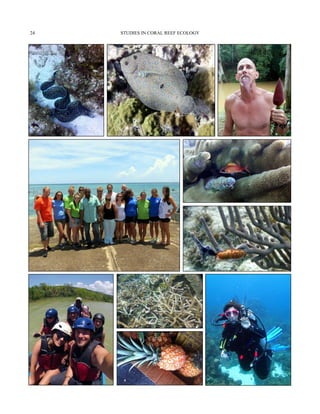 STUDIES IN CORAL REEF ECOLOGY24
 