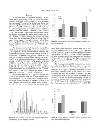 RESULTS
In total there were 240 anemones measured, 180 pink
tipped and 60 green tipped. Of the 180 pink tipped anemo-
nes, two were found on the forereef, 101 were counted in
the lagoon, and 77 were seen at Dorm Shore. There were
26 green tipped anemones found in both the lagoon and on
Dorm Shore and 8 were found on the forereef. There was
no statistical significance between the tip colors at all three
sampling locations (ANOVA; p-value = 0.37, f-calc =
1.39). There was not a significant difference in the tip col-
ors between the forereef and lagoon (t-test; p-value = 0.56,
df = 2, t-stat = 0.686). Between the forereef and Dorm
Shore there was no significant difference between the tip
colors (t-test; p-value = 0.62, df = 2, t-stat = 0.583). There
was a significant difference between the tip colors of the
lagoon and Dorm Shore (t-test; p-value = 0.034, df = 2, t-
stat = 5.25).
The average diameter of all C. gigantea surveyed was
19.98 cm, the maximum was 53 cm and the minimum was
3 cm (Figure 2). The size distribution of sea anemones rela-
tive to tip color was not significantly different between the
forereef and Dorm Shore (t-test; p-value = 0.619, df = 2, t-
stat = -0.58). There was no significant difference in the size
relative to tip color between the forereef and lagoon (t-test;
p-value = 0.396, df = 2, t-stat = -1.07). Between the lagoon
and Dorm Shore, there was no significant difference be-
tween tip color and size of anemone (t-test; p-value =
0.908, df = 2, t-stat = 0.131). There were no significant
differences between the means for diameter size of anemo-
nes relative to tip color between the three locations
(ANOVA; p-value = 0.15, f-calc = 3.89; Figure 3).
The average depth of all C. gigantea surveyed was
4.566 m, the minimum depth was 0.762 m and the maxi-
mum depth was 14.63 m. There was no significance relat-
ing to the depth distribution of anemones relative to tip
color between the forereef and lagoon (t-test; p-value =
0.69, df = 2, t-stat = -0.46). Between the forereef and Dorm
Figure 2. Size frequency of the total pink and green tipped anem-
ones found at all three sampling locations.
Shore there was no significance between depth and tip col-
or (t-test; p-value = 0.347, df = 2, t-stat = -1.22). There was
also no significance between the lagoon and Dorm Shore (t
-test; p-value = 0.994, df = 2, t-stat = -0.008). Comparing
all three locations showed that there were no significant
relationships between the average depths of occurrence
relative to tip color (ANOVA; p-value = 0.075, f-calc =
6.96; Figure 4).
The linear regression plot for the green tipped anemo-
nes on the forereef showed that there was a very weak cor-
relation between anemone size and their depth of occur-
rence (r2
= 0.22; Figure 5). However, there were only two
pink tipped anemones found on the forereef, so a linear
regression line could not accurately be plotted. There was
no correlation between the pink tipped anemones in the
lagoon (r2
= 0.06). The green tipped anemones in the la-
goon had no correlation between size and depth distribution
(r2
= 0.009, Figure 6). On the Dorm Shore reef, the pink
tipped anemones showed no correlation (r2
= 0.062). The
Figure 3. Average size of pink and green tipped anemones rela-
tive to their location.
Figure 4. Average depths of occurrence relative to tip color at all
three of the sampling locations.
KORALLION. VOL 5. 2014 29
 