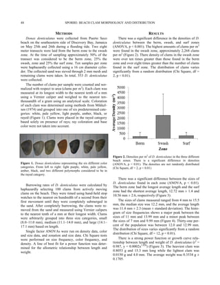 METHODS
Donax denticulatus were collected from Puerto Seco
beach on the southeastern side of Discovery Bay, Jamaica
on May 25th and 26th during a flooding tide. Two eight
meter transects were laid from the berm zone to the swash
zone. At the time of sampling approximately 50% of the
transect was considered to be the berm zone, 25% the
swash, zone and 25% the surf zone. Ten samples per zone
were haphazardly collected using a 16 cm diameter cylin-
der. The collected sand was sieved through 2 mm mesh and
remaining clams were taken. In total, 553 D. denticulatus
were collected.
The number of clams per sample were counted and nor-
malized with respect to area (clams per m2
). Each clam was
measured at its longest width to the nearest tenth of a mm
using a Vernier caliper and weighed to the nearest ten-
thousandth of a gram using an analytical scale. Coloration
of each clam was determined using methods from Mikkel-
sen (1974) and grouped into one of six predetermined cate-
gories: white, pale yellow, light purple, amber, black, or
rayed (Figure 1). Clams were placed in the rayed category
based solely on presence of rays; ray coloration and base
color were not taken into account.
Burrowing rates of D. denticulatus were calculated by
haphazardly selecting 100 clams from actively moving
clams on the beach. They were timed using hand-held stop
watches to the nearest on hundredth of a second from their
first movement until they were completely submerged in
the sand. After completely burrowing, the clams were re-
moved from the sand and measured using Vernier calipers
to the nearest tenth of a mm at their longest width. Clams
were arbitrarily grouped into three size categories, small
(8.0–11.0 mm), medium (11.1–14.0 mm), and large (14.1–
17.1 mm) based on length.
Single factor ANOVAs were run on density data, color
and size data, and zonation and size data. Chi Square tests
were performed on size frequency, color frequency, and
density. A line of best fit for a power function was deter-
mined for the allometric relationship between length and
weight.
There was a significant difference between the sizes of
D. denticulatus found in each zone (ANOVA, p < 0.01).
The berm zone had the longest average length and the surf
zone had the shortest average length, 12.72 mm ± 1.4 and
10.56 mm ± 2.6, respectively (Figure 3).
The sizes of clams measured ranged from 4 mm to 15.5
mm, the median size was 12.2 mm, and the average length
was 11.4 mm ± 2.3 (mean ± standard deviation). The histo-
gram of size frequencies shows a major peak between the
sizes of 11 mm and 13.99 mm and a minor peak between
the sizes of 7 mm and 9.99 mm (Figure 4). Thirty-one per-
cent of the population was between 12.0 and 12.99 mm.
The distribution of sizes varies significantly from a random
distribution (Chi Square, df = 12, p < 0.01).
There is a strong power function or growth curve rela-
tionship between length and weight of D. denticulatus (r2
=
0.987, y = 0.0002x3.020
) (Figure 5). The heaviest clam was
0.8053 g and 15.3 mm long while the lightest clam was
0.0150 g and 4.0 mm. The average weight was 0.3534 g ±
0.1705.
Figure 1. Donax denticulatus representing the six different color
categories. From left to right: light purple, white, pale yellow,
amber, black, and two different polymorphs considered to be in
the rayed category.
Figure 2. Densities per m2
of D. denticulatus in the three different
beach zones. There is a significant difference in densities
(ANOVA, p < 0.01). The densities are not randomly distributed
(Chi Square, df = 2, p < 0.01)
RESULTS
There was a significant difference in the densities of D.
denticulatus between the berm, swash, and surf zones
(ANOVA, p < 0.001). The highest amounts of clams per m2
were found in the swash zone, approximately 2,268 clams
per m2
(Figure 2). There density of clams in the swash zone
were over ten times greater than those found in the berm
zone and over eight times greater than the number of clams
found in the surf zone. The distribution of clams varies
significantly from a random distribution (Chi Square, df =
2, p < 0.01).
SPORRE: BEACH CLAM MORPHOLOGY AND DISTRIBUTION48
 