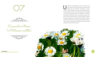 10
U
m grande anti-inflamatório interno e externo, em
todos os tipos de tecido. Qualquer condição de pele
irritada será útil: rachadura, queimaduras, coceira,
eczema e psoríase. Pode ser usado em compressas para veias
inchadas, hemorroidas e varizes. Antibacteriano e antissépti-
co, é excelente para peles sensíveis, inflamadas ou irritadas.
É eficaz para infecções fúngicas. Internamente, pode ser usa-
da para tratar candida, sapinho e infecções urinárias. Digesti-
vo, acalma espasmos no trato intestinal. Ansiolítico, pode ser
ingerido antes de exames, testes e apresentações, para acal-
mar e centrar. Extremamente energético e ao mesmo tempo
calmante e confortante emocional.
Camomila Alemã
(Matricaria recutita)
07
Hidrolatos
 