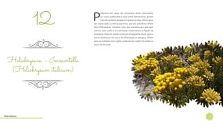 15
P
oderoso em casos de contusões, dores musculares
ou ossos quebrados e para evitar hematomas, porém
não tão potente analgésico quanto o óleo. Ótimo para
ser usado após a prática esportiva, por seu grandioso efeito
anti-inflamatório. Também uma boa escolha para pós-ope-
ratório, pois acelera a cicatrização e desintoxica o fígado da
anestesia. Pose ser usado como um enxaguante bucal, após a
ida ao dentista e em casos de inflamação na gengiva. Ótimo
para os cuidados com a pele, podendo ser usado em todos os
tipos de situação.
Helichrysum – Immortelle
(Helichrysum italicum)
12
Hidrolatos
 