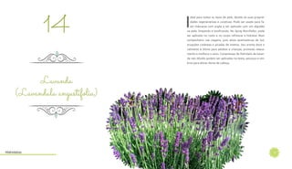 17
I
deal para todos os tipos de pele, devido às suas proprie-
dades regenerativas e curativas. Pode ser usado para fa-
zer máscaras com argila e ser aplicado com um algodão
na pele, limpando e tonificando. No Spray Borrifador, pode
ser aplicado no rosto e no corpo refrescar e hidratar. Bom
companheiro nas viagens, pois alivia queimaduras de Sol,
erupções cutâneas e picadas de insetos. Seu aroma doce e
calmante é ótimo para adultos e crianças, promove relaxa-
mento e melhora o sono. Compressas de Hidrolato de lavan-
da não diluído podem ser aplicadas na testa, pescoço e om-
bros para aliviar dores de cabeça.
Lavanda
(Lavandula angustifolia)
14
Hidrolatos
 